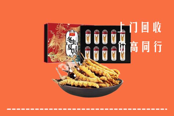 翁牛特旗回收虫草